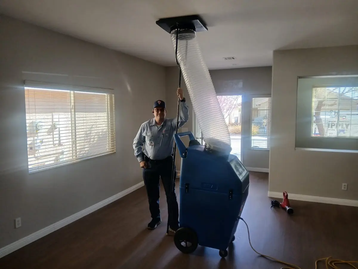 Professional Dryer Vent Cleaning work inside a South Whitehall home